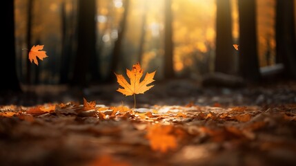 Autumn leaves in the forest with sunbeams and lens flare