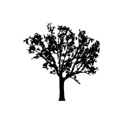 Tree Silhouette Vector Clipart.