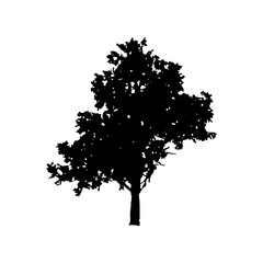 Fototapeta premium Tree Silhouette Vector Clipart.