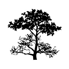 Tree Silhouette Vector Clipart.