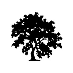 Fototapeta premium Tree Silhouette Vector Clipart