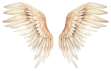 PNG  Angel wings bird white background archangel.