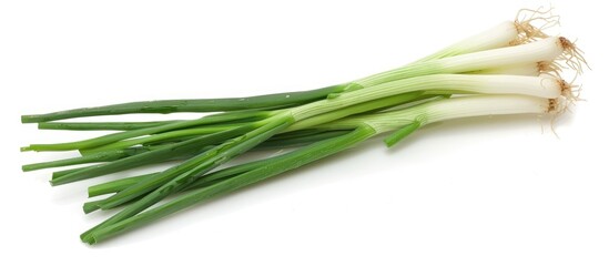 Green onion placed alone on a white background
