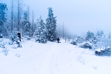 Verschneiter Wanderweg im Harz