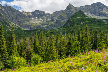 Summer mountain panorama from Hala Gasienicowa