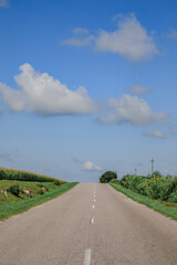 road blue sky and green field
