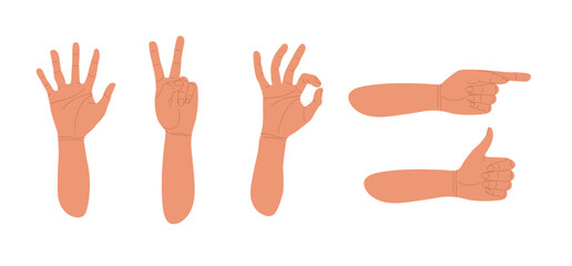 Gesturing. Set of hands in different gestures. Various hand signs. Human hands show signs. Vector flat illustration of hands in various situations isolated on white