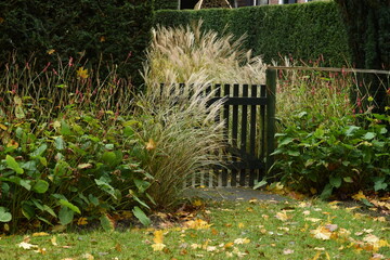 gate in a garden with ornamental grasses