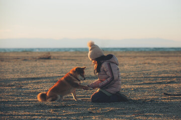 A young girl with a dog in nature. Kid girl playing with a shiba inu dog on the beach at sunset in Greece in winter - 787503363
