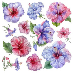 Beautiful watercolor illustrations of hibiscus flowers in delicate pastel shades, perfect for creating elegant floral arrangements, greeting cards, and digital prints.