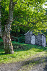 Stone house in a forest