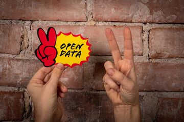 Open Data. Sticky note with text on a red brick background - 787505361