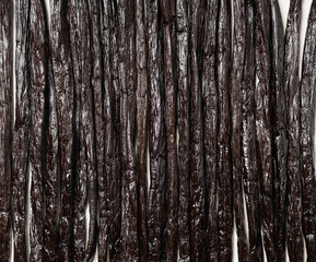 Obraz premium Vanilla beans texture.