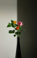 Minimal idea a bouquet of roses in a vase with a black and white background. Pink, yellow and orange flowers in the shade.