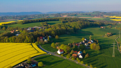 Aerial drone view of yellow rapeseed fields in German countryside