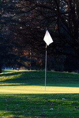 Empty Golf Green With Pole And Flag Grass And Trees