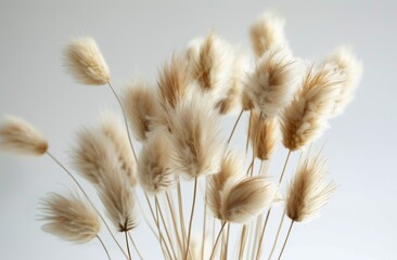 Bundle of Dry Grass in a Vase