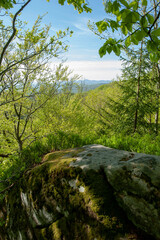 A beautiful panorama of rocks and young trees from the top of the National Reserve. Spring in the morning forest.