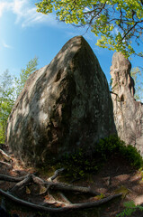 A beautiful panorama of rocks and young trees from the top of the National Reserve. Spring in the morning forest.