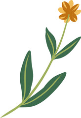 Set of hand drawn flower and leaves, floral bouquets. Vector flowers illustration. Abstract contemporary modern trendy print with botanical elements. Perfect for posters, instagram posts, stickers