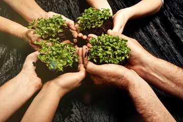 Plant soil, hands and diversity with teamwork by dark surface for nature and environment future for Earth Day. Sustainability, collaboration and palm with growth for climate change and clean energy
