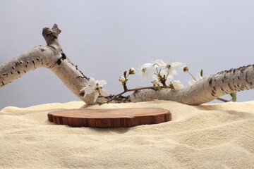 Dry wooden birch branch snag log platform podium on beige sand background. Minimal empty display product presentation scene.