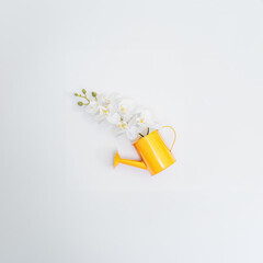 A yellow watering can with an orchid inside. Top view, spring and gardening concept.
