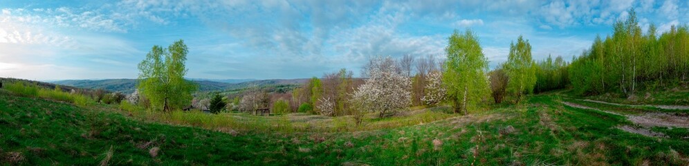 Panorama of the spring forest near the mountain town. Picturesque landscape of a sunny day.