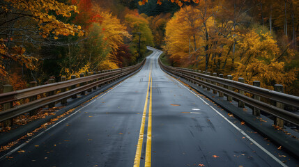 An asphalt road leading through an autumn forest with yellow-orange trees.