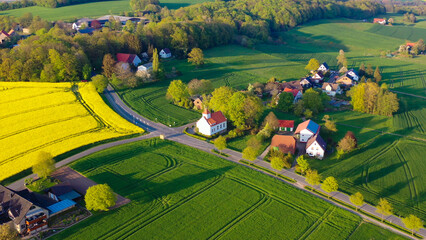 Aerial drone view of yellow rapeseed fields in German countryside