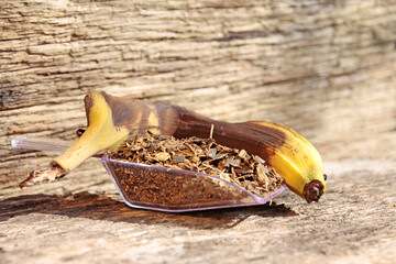 banana peels, organic fertilizer in biodynamic agriculture