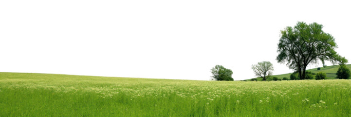 Fototapeta premium PNG Summer weather landscape outdoors horizon