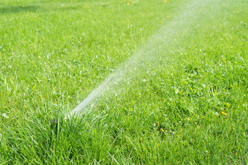 Automatic smart lawn sprinkler watering green lawn grass in sunny day. Sprinkler with automatic system with adjustable head, garden irrigation system.