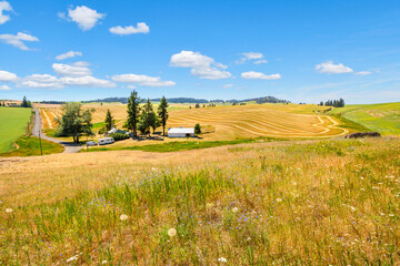 A small roadside farm and ranch with home in Rockford, Washington, part of the rural Palouse area of Eastern Washington near Spokane Washington, USA.