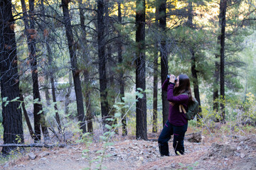 Obraz premium Young Latina woman observing with binoculars and hiking in a pine forest in Patagonia Argentina. Space for text.