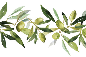 PNG Olive and leaves plant food leaf