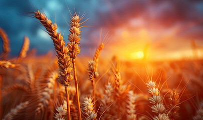 Naklejka premium Wheat field, generative ai.