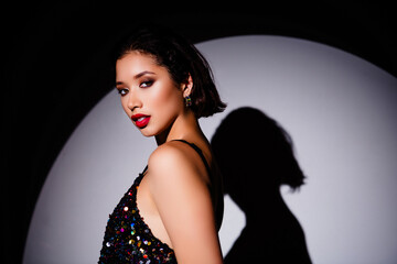 Profile portrait of fancy pretty famous singer girl wear shiny dress silhouette shadow stage...