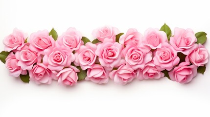 Fresh beautiful pink rose isolated on a white background