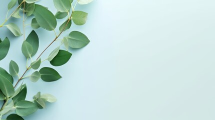 Flat lay composition with branch of fresh eucalyptus leaves and space for design on table background banner, top view (2) - obrazy, fototapety, plakaty