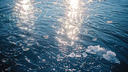 Gordijnen Sunlight reflecting on icy ocean surface © 2rogan