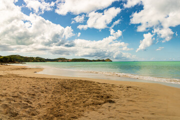 Fototapeta premium Caribbean beach - Antigua Island