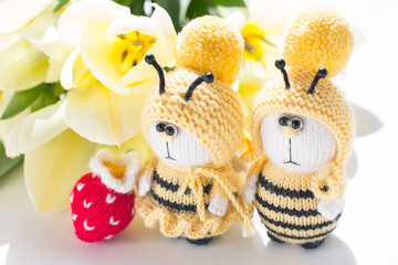 A knitted bee with a strawberry. Handmade toys, striped insects amigurumi boy and girl