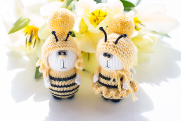 A knitted bee with a strawberry. Handmade toys, striped insects amigurumi boy and girl