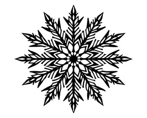 Crystal of snow silhouette vector