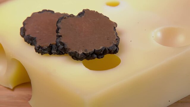 Black truffle slices fall on the maasdam cheese with large holes Slow motion. High quality 4k footage