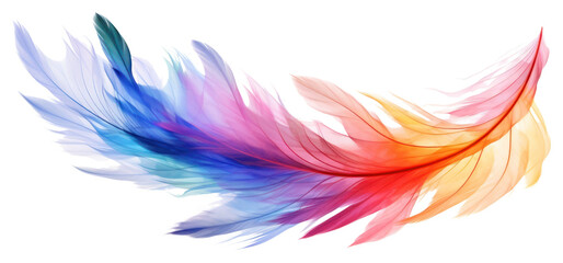Fototapeta na wymiar PNG Rainbow feathers pattern flying white background
