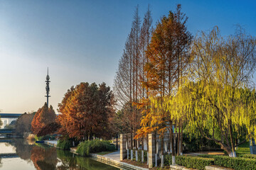 Urban Lake Surrounded by Autumn Trees and Classic Pillars