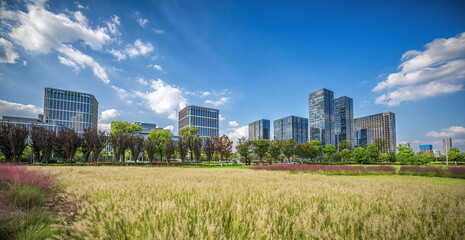 Contemporary City Park against Urban Skyline