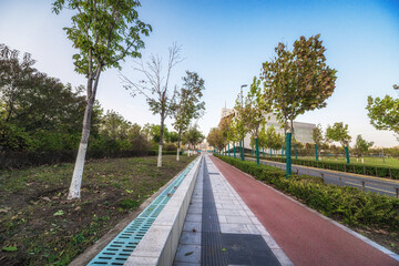 Urban Bike Lane and Walking Path in Green City Park